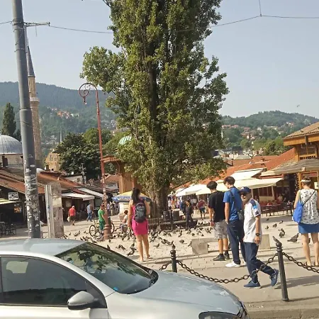 Oaza Mira Villa *